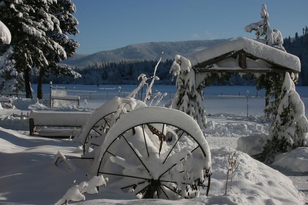Cedar Mountain Farm Bed And Breakfast Llc Athol Eksteriør billede
