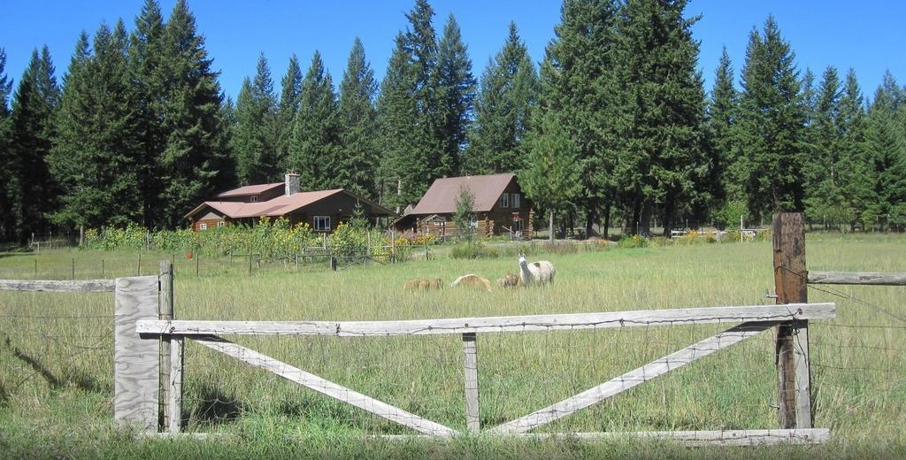 Cedar Mountain Farm Bed And Breakfast Llc Athol Eksteriør billede