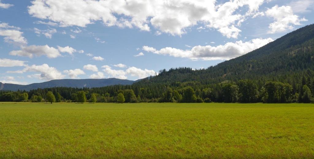 Cedar Mountain Farm Bed And Breakfast Llc Athol Eksteriør billede