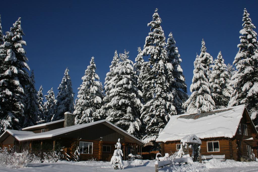 Cedar Mountain Farm Bed And Breakfast Llc Athol Eksteriør billede